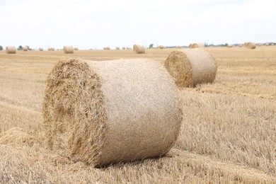 Photo of Many hay bales in field, selective focus