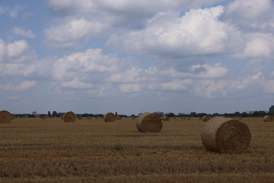 Photo of Many hay bales in field on summer day