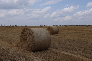 Photo of Many hay bales in field on summer day