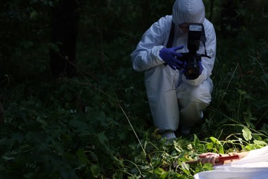 Photo of Forensic expert working at crime scene with dead body outdoors