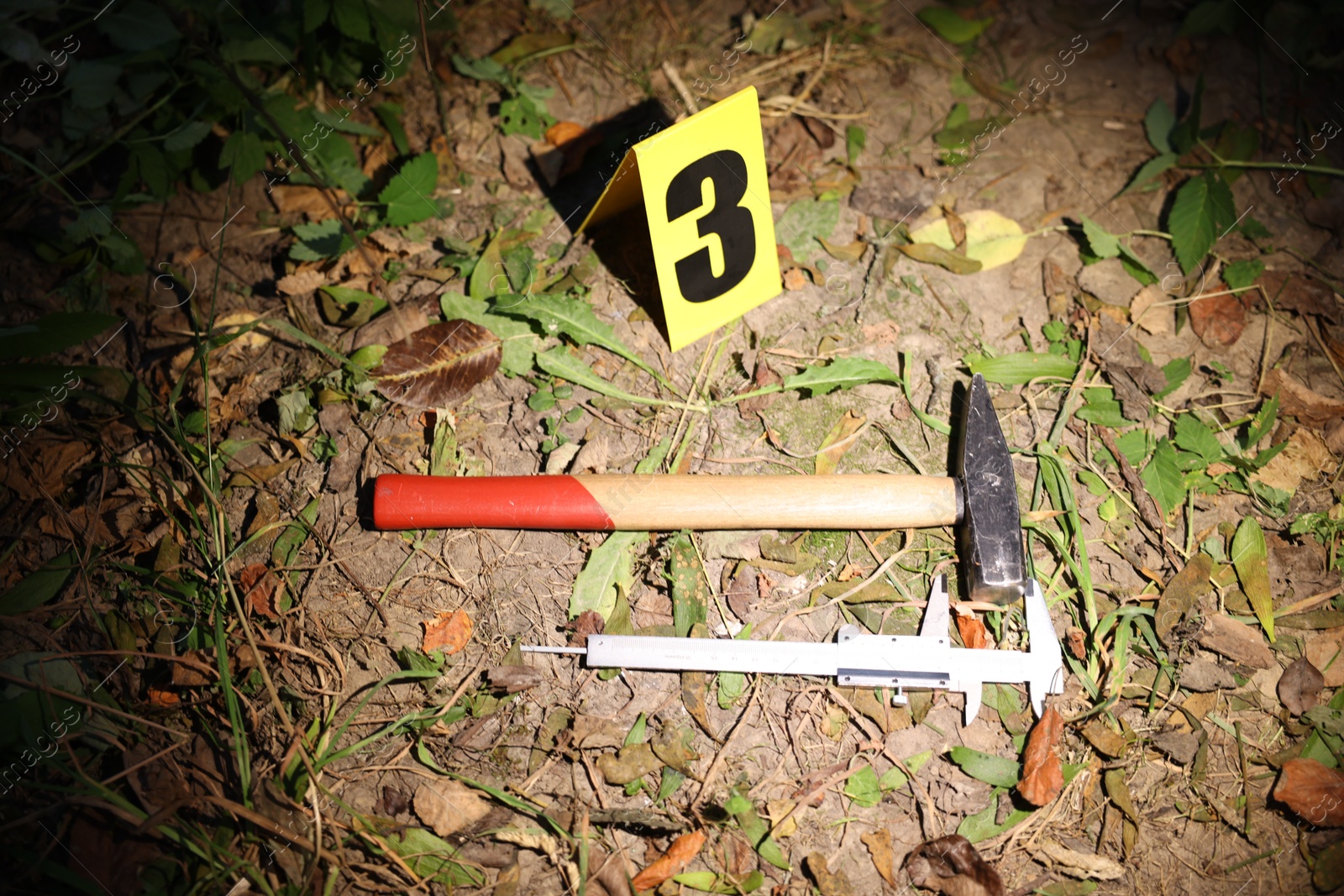 Photo of Forensic expertise. Crime scene with marker and evidences outdoors, above view