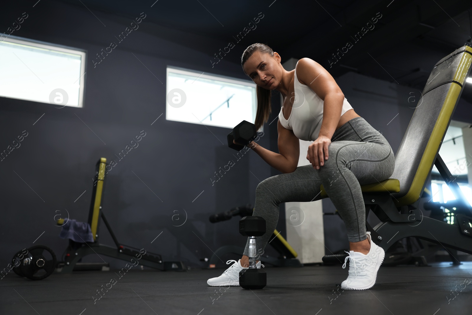 Photo of Athletic woman training with dumbbell on exercise bench in gym, low angle view. Space for text