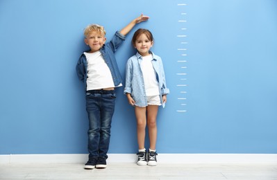 Photo of Cute little girl and boy measuring their heights near blue wall