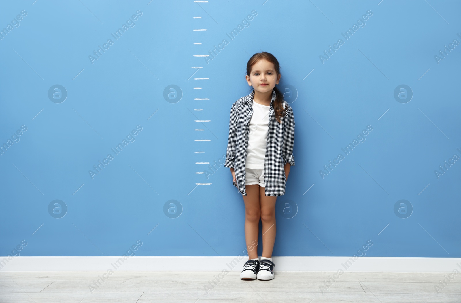 Photo of Cute little girl measuring her height near blue wall