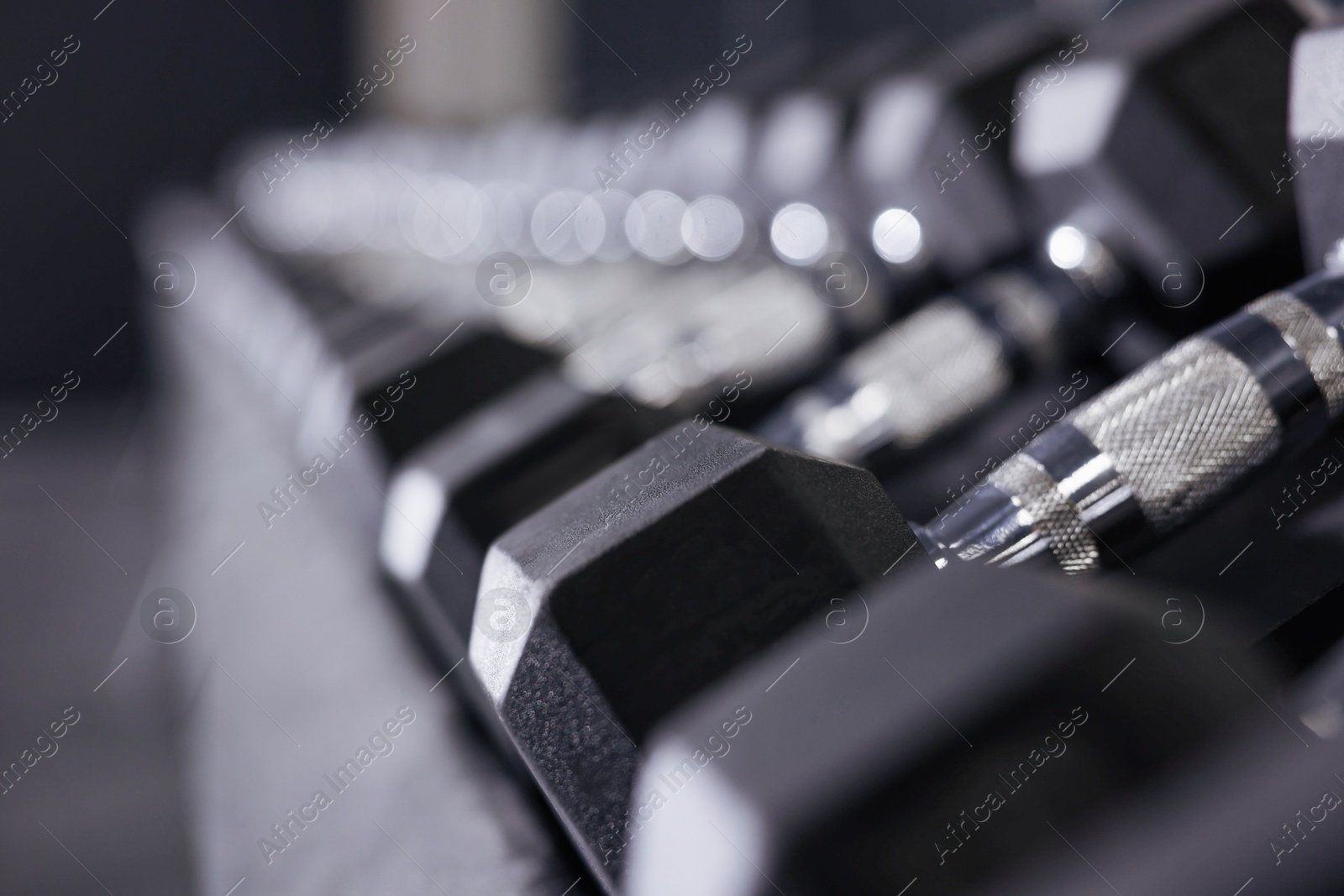 Different dumbbells in gym, closeup. Sport equipment Photo of Different dumbbells in gym, closeup. Sport equipment