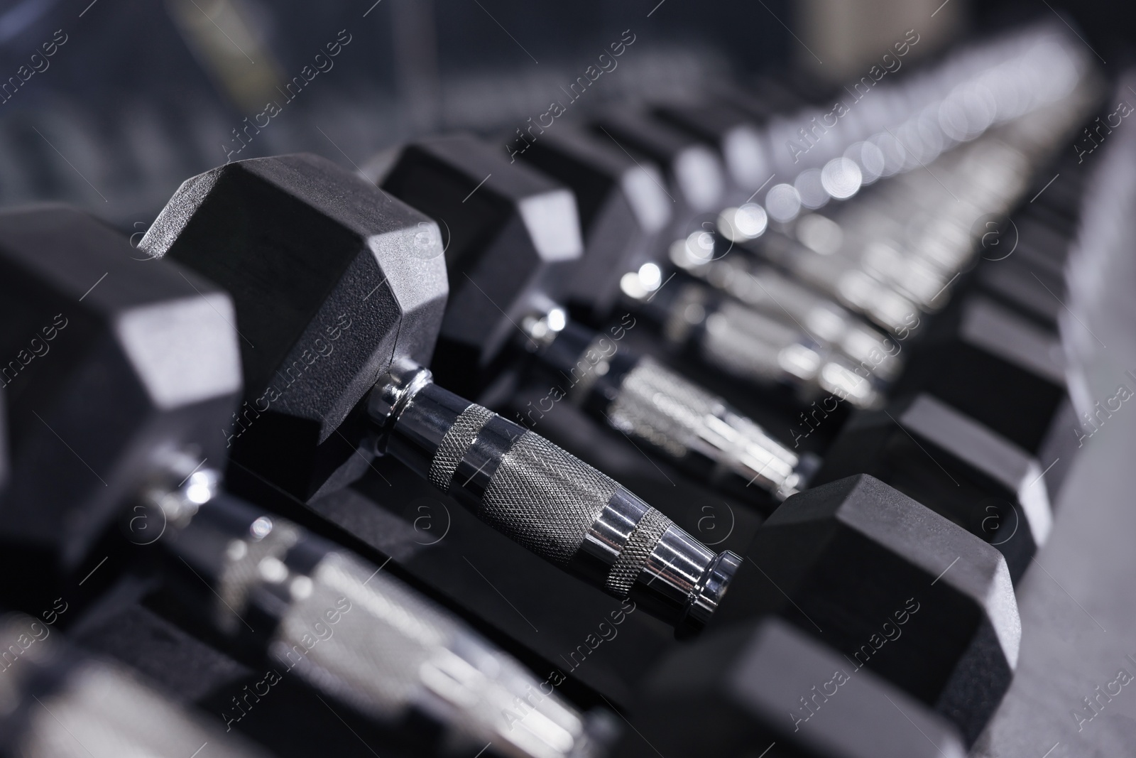 Different dumbbells in gym, closeup. Sport equipment Photo of Different dumbbells in gym, closeup. Sport equipment