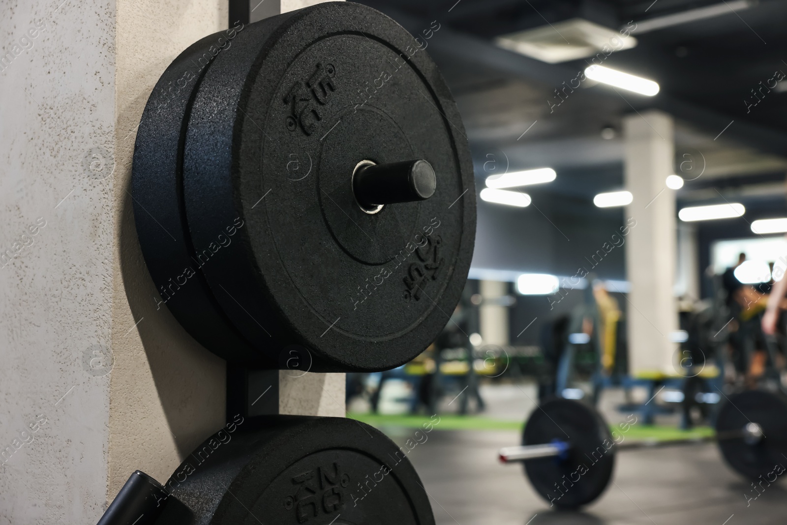 Many barbell discs hanging on wall in gym, closeup. Space for text Photo of Many barbell discs hanging on wall in gym, closeup. Space for text