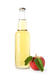 Photo of Delicious cider in glass bottle and apple isolated on white