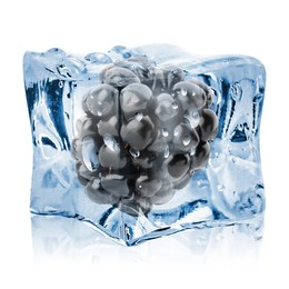 Image of Fresh blackberry in ice cube isolated on white