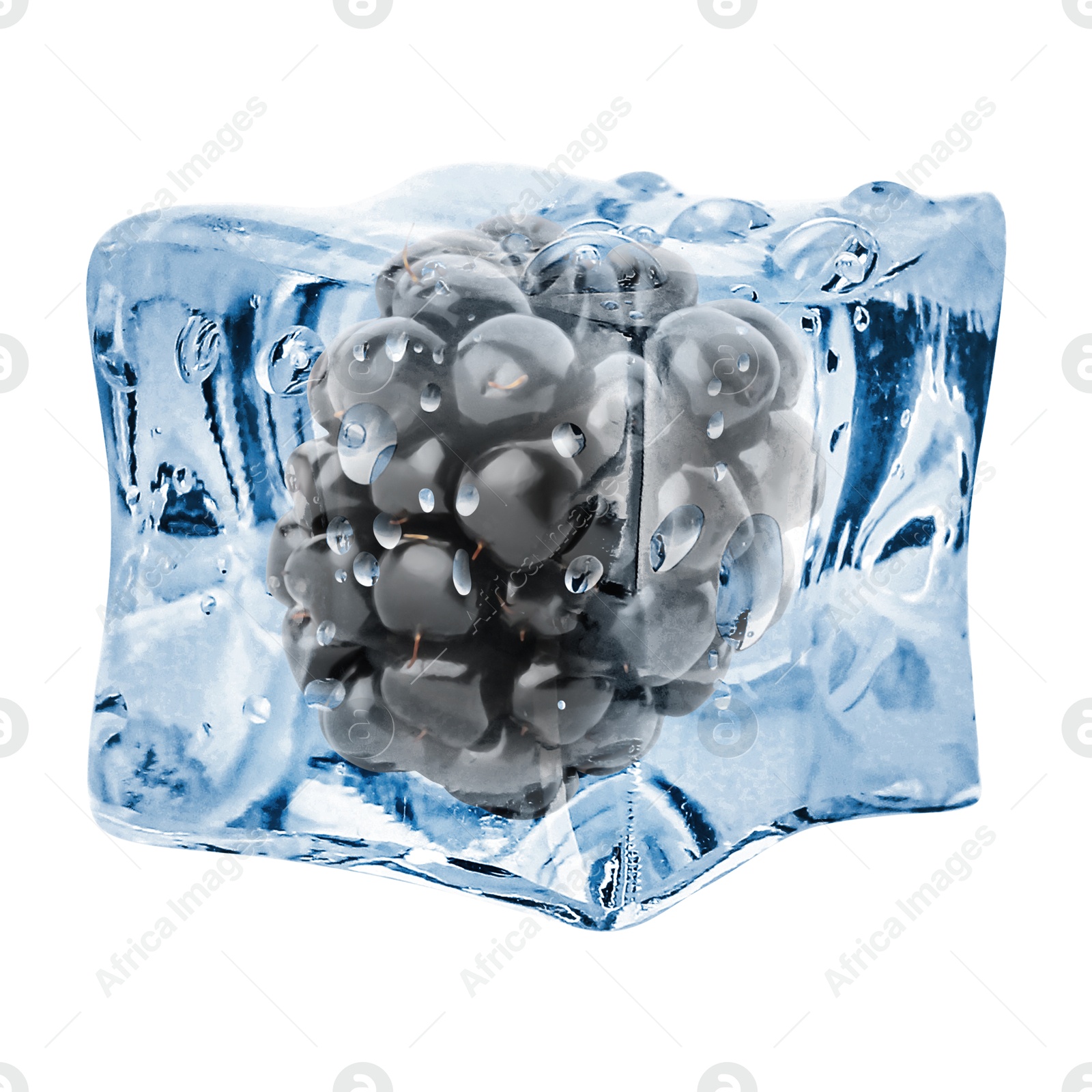 Image of Fresh blackberry in ice cube isolated on white