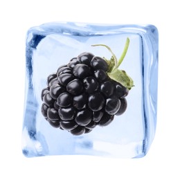 Image of Fresh blackberry in ice cube isolated on white