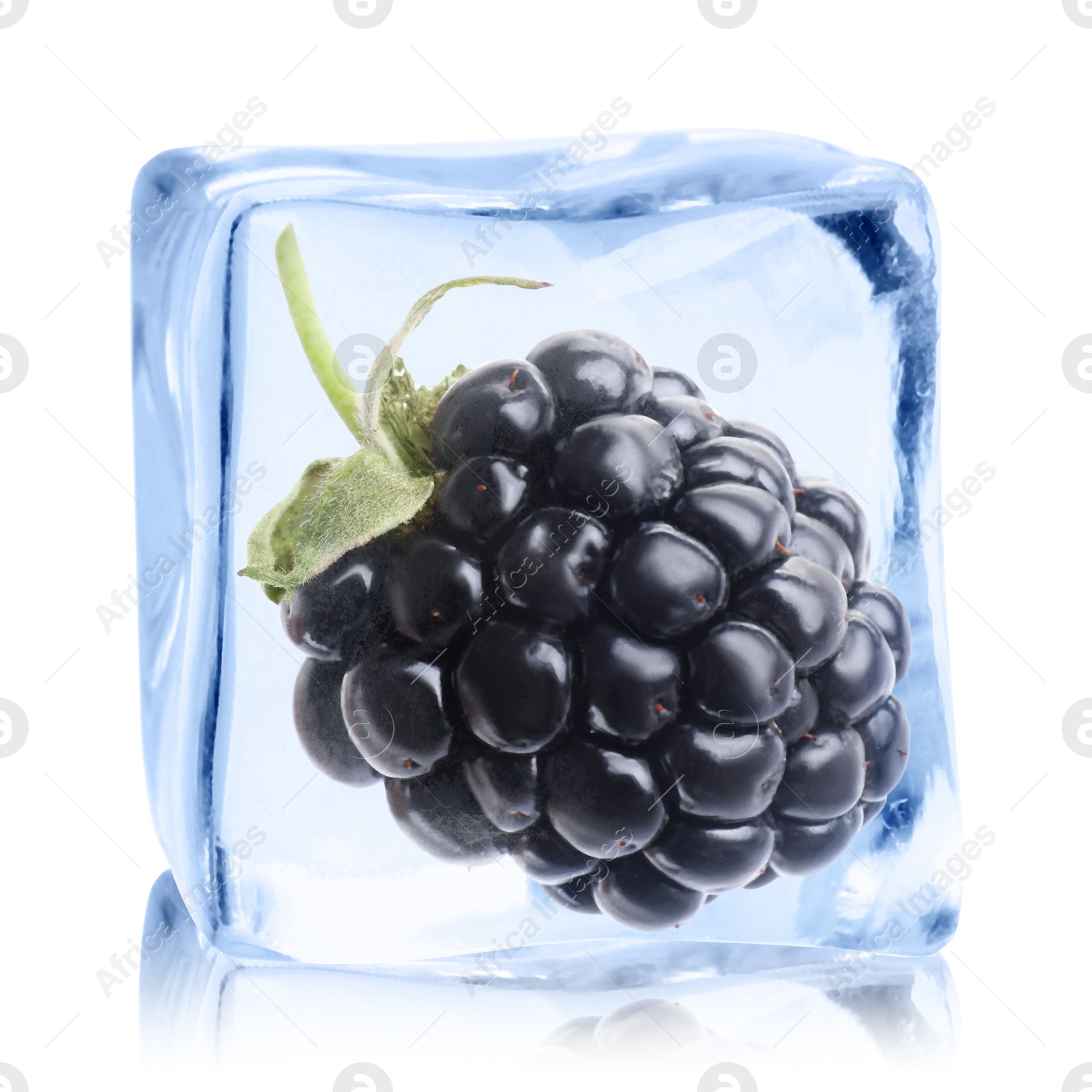Image of Fresh blackberry in ice cube isolated on white