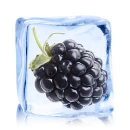 Image of Fresh blackberry in ice cube isolated on white