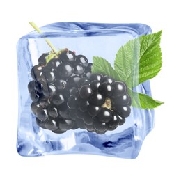 Image of Fresh blackberries in ice cube isolated on white
