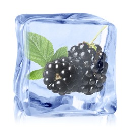 Image of Fresh blackberries in ice cube isolated on white