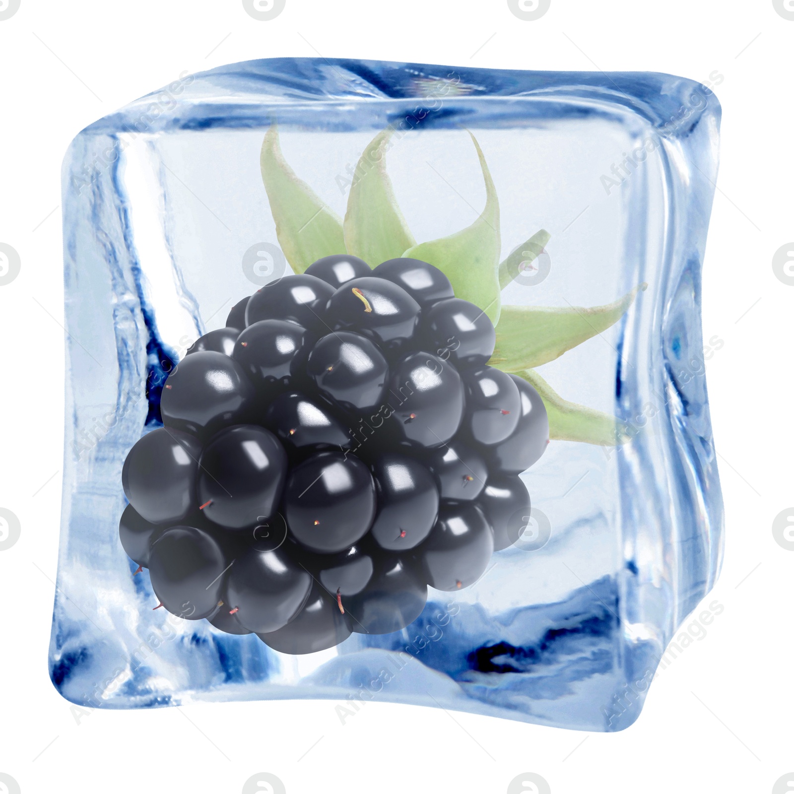 Fresh blackberry in ice cube isolated on white Image of Fresh blackberry in ice cube isolated on white