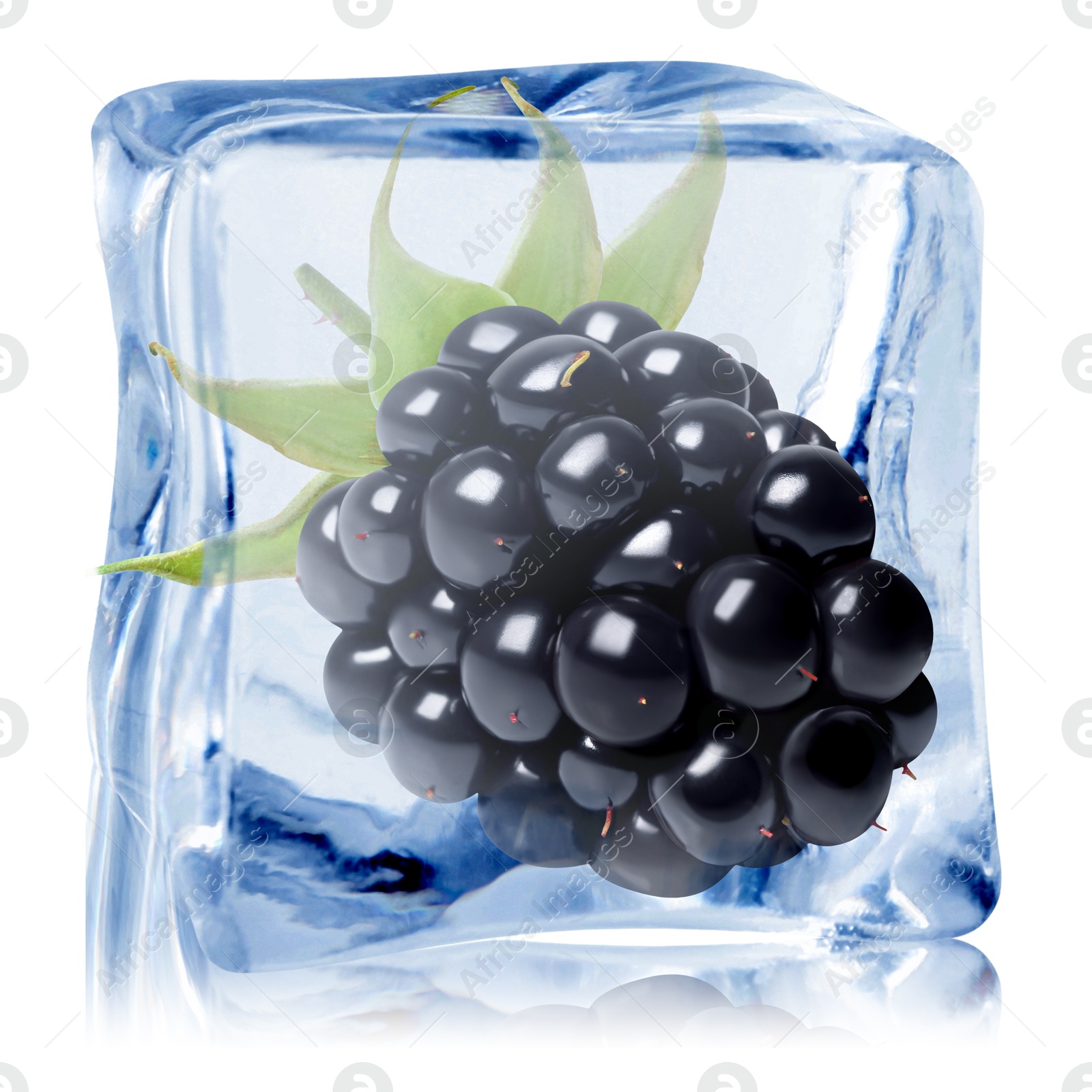Image of Fresh blackberry in ice cube isolated on white