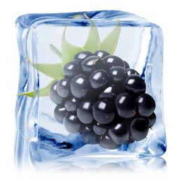 Image of Fresh blackberry in ice cube isolated on white