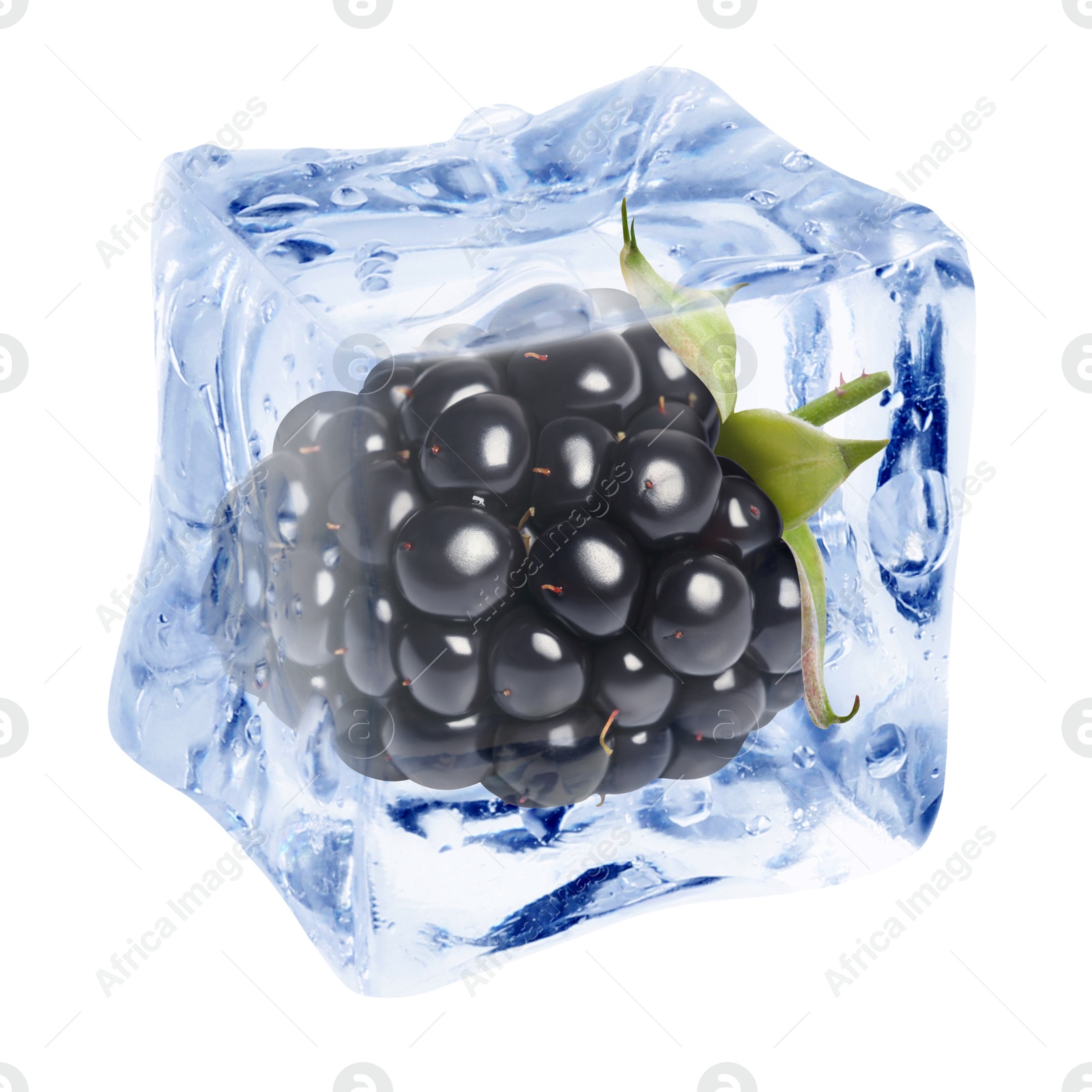Fresh blackberry in ice cube isolated on white Image of Fresh blackberry in ice cube isolated on white