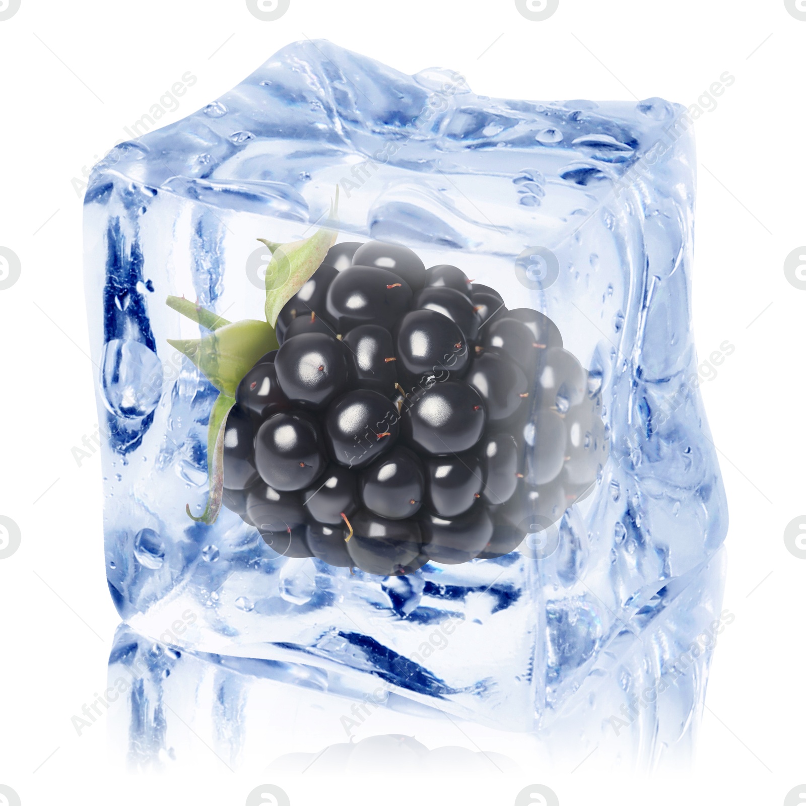 Fresh blackberry in ice cube isolated on white Image of Fresh blackberry in ice cube isolated on white