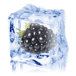 Image of Fresh blackberry in ice cube isolated on white