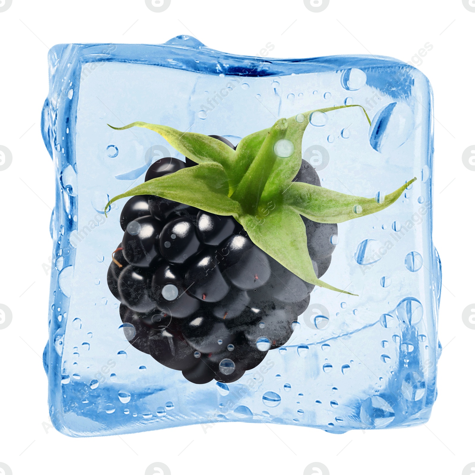 Fresh blackberry in ice cube isolated on white Image of Fresh blackberry in ice cube isolated on white
