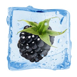 Image of Fresh blackberry in ice cube isolated on white