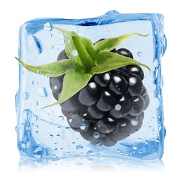 Image of Fresh blackberry in ice cube isolated on white