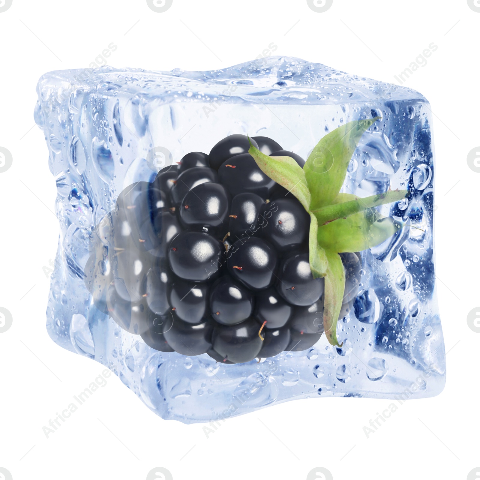 Fresh blackberry in ice cube isolated on white Image of Fresh blackberry in ice cube isolated on white
