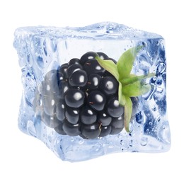 Image of Fresh blackberry in ice cube isolated on white