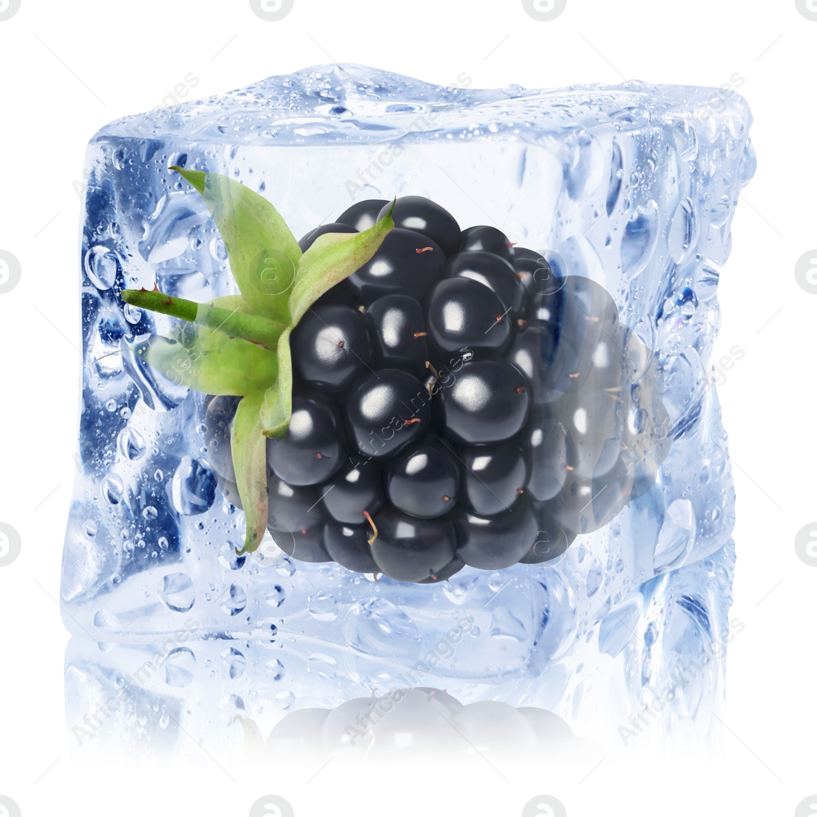 Fresh blackberry in ice cube isolated on white Image of Fresh blackberry in ice cube isolated on white