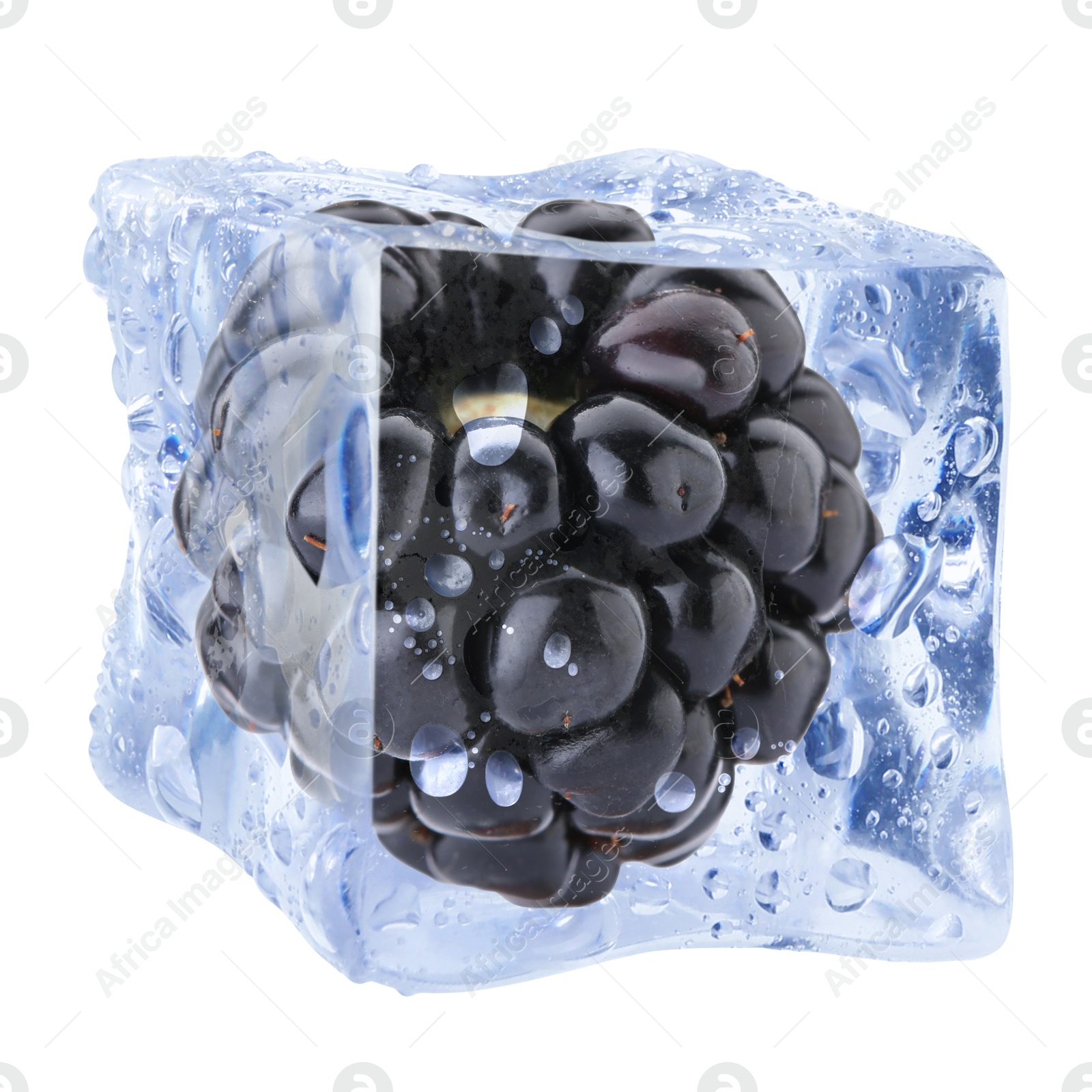 Fresh blackberry in ice cube isolated on white Image of Fresh blackberry in ice cube isolated on white