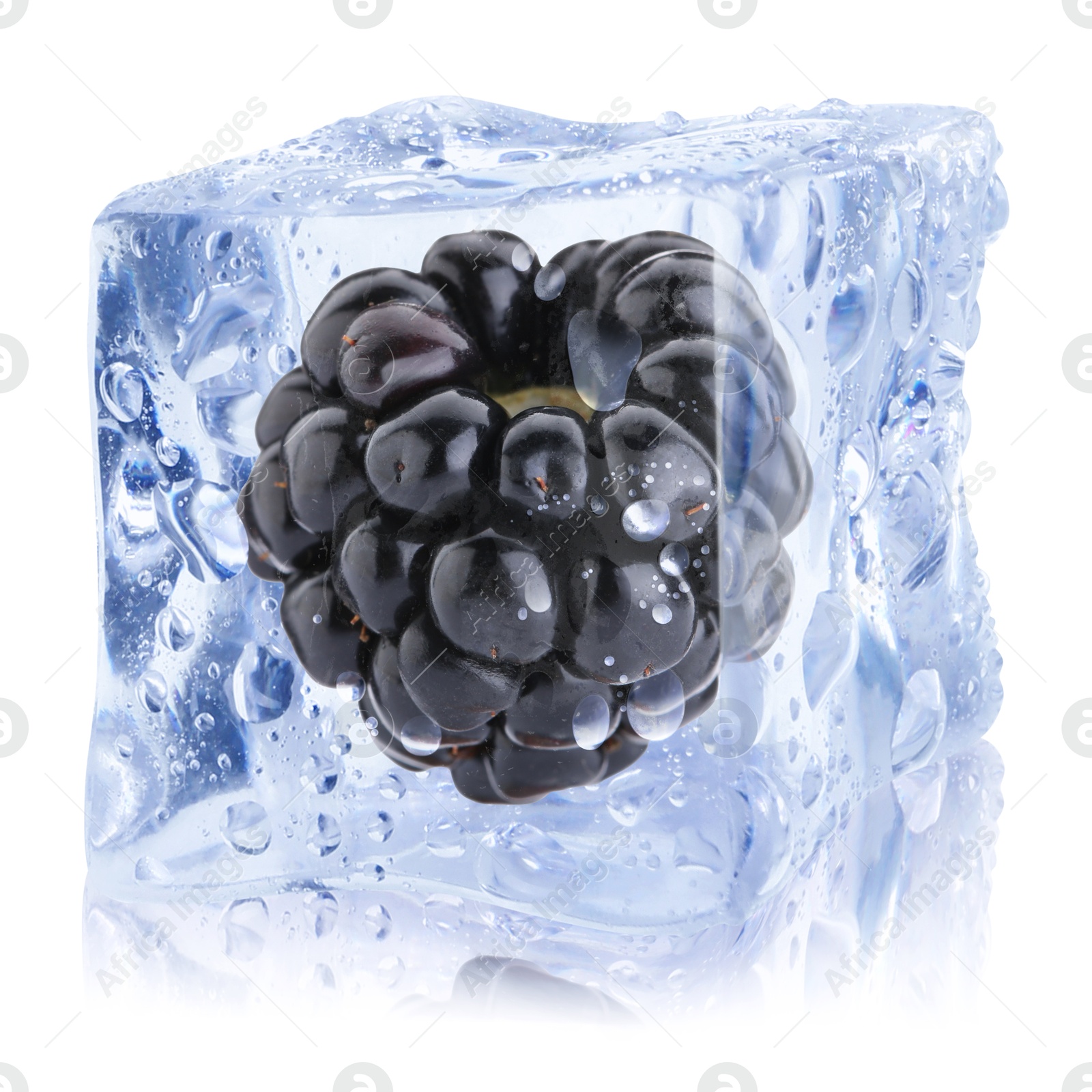 Fresh blackberry in ice cube isolated on white Image of Fresh blackberry in ice cube isolated on white