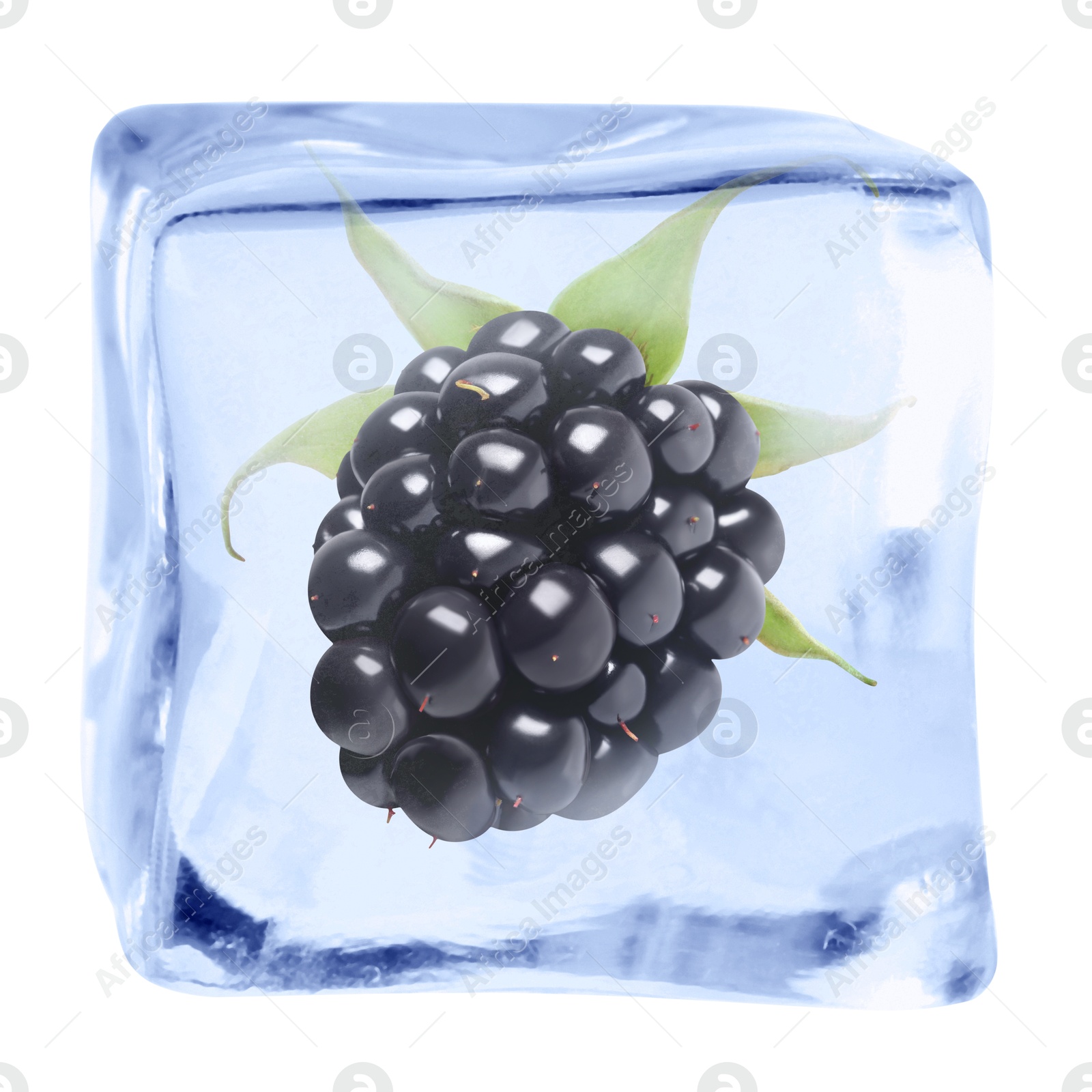 Fresh blackberry in ice cube isolated on white Image of Fresh blackberry in ice cube isolated on white