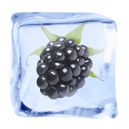 Image of Fresh blackberry in ice cube isolated on white