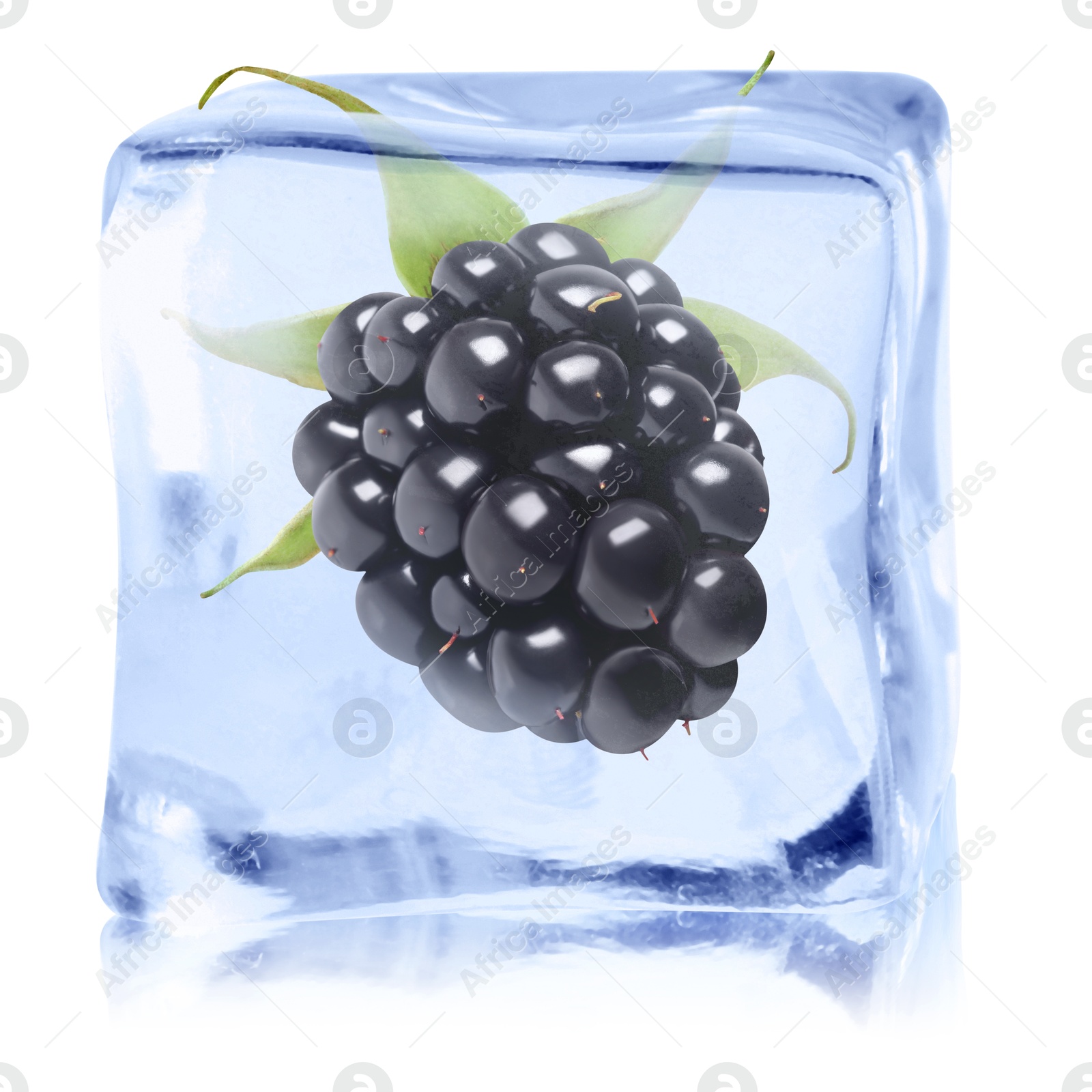 Fresh blackberry in ice cube isolated on white Image of Fresh blackberry in ice cube isolated on white