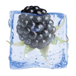 Image of Fresh blackberry in ice cube isolated on white