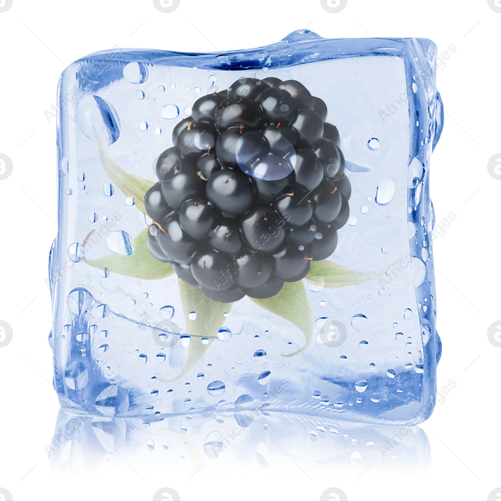 Image of Fresh blackberry in ice cube isolated on white