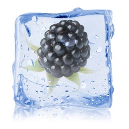 Image of Fresh blackberry in ice cube isolated on white