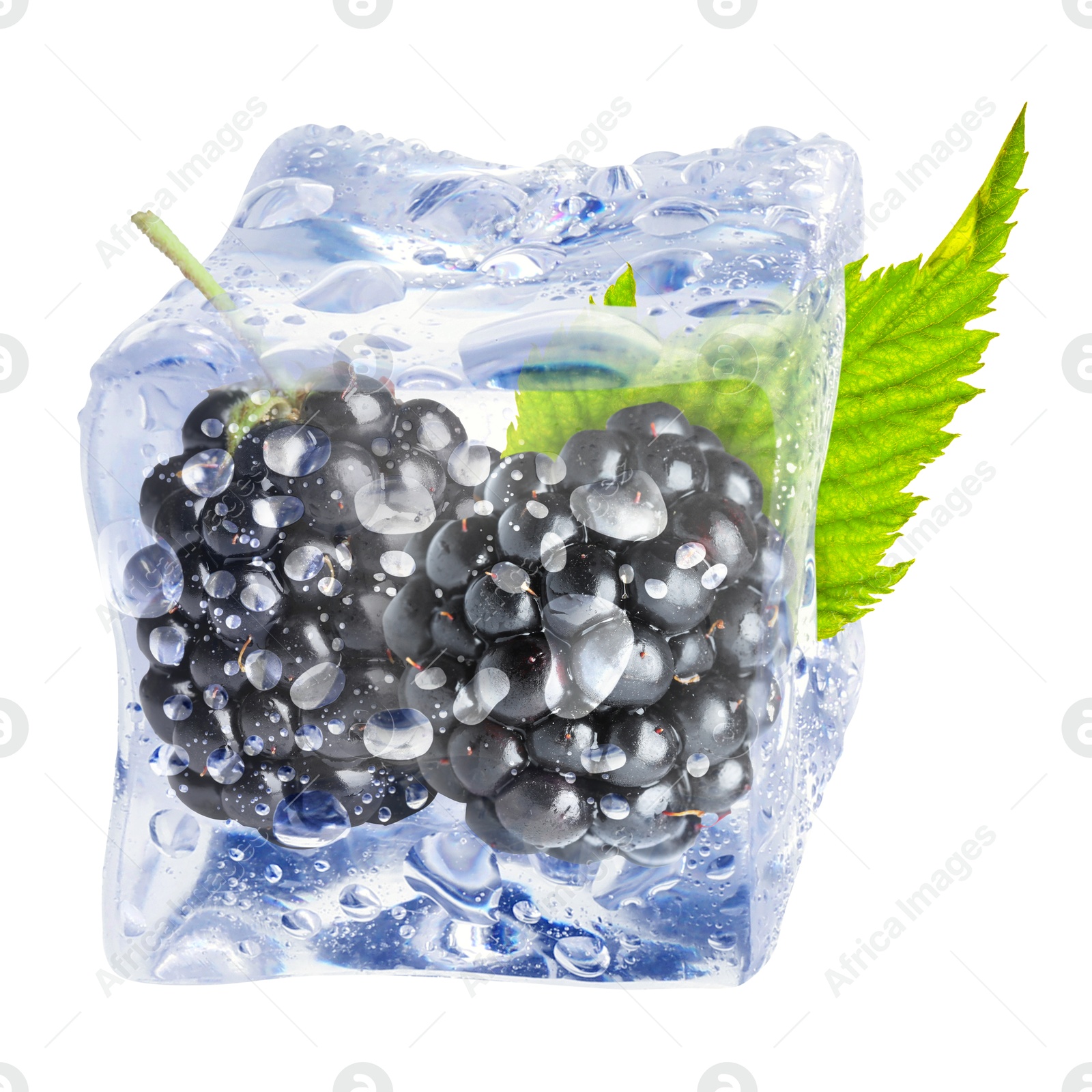 Image of Fresh blackberries in ice cube isolated on white