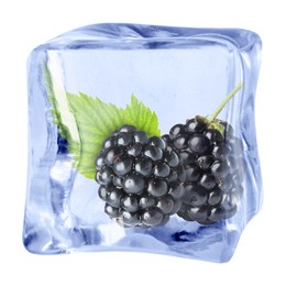 Image of Fresh blackberries in ice cube isolated on white