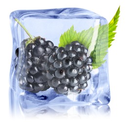 Image of Fresh blackberries in ice cube isolated on white
