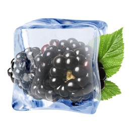 Image of Fresh blackberries in ice cube isolated on white