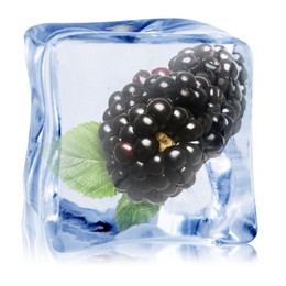 Image of Fresh blackberries in ice cube isolated on white