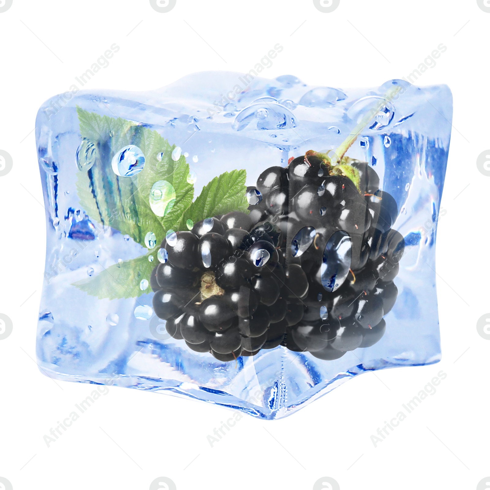 Image of Fresh blackberries in ice cube isolated on white