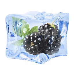Image of Fresh blackberries in ice cube isolated on white