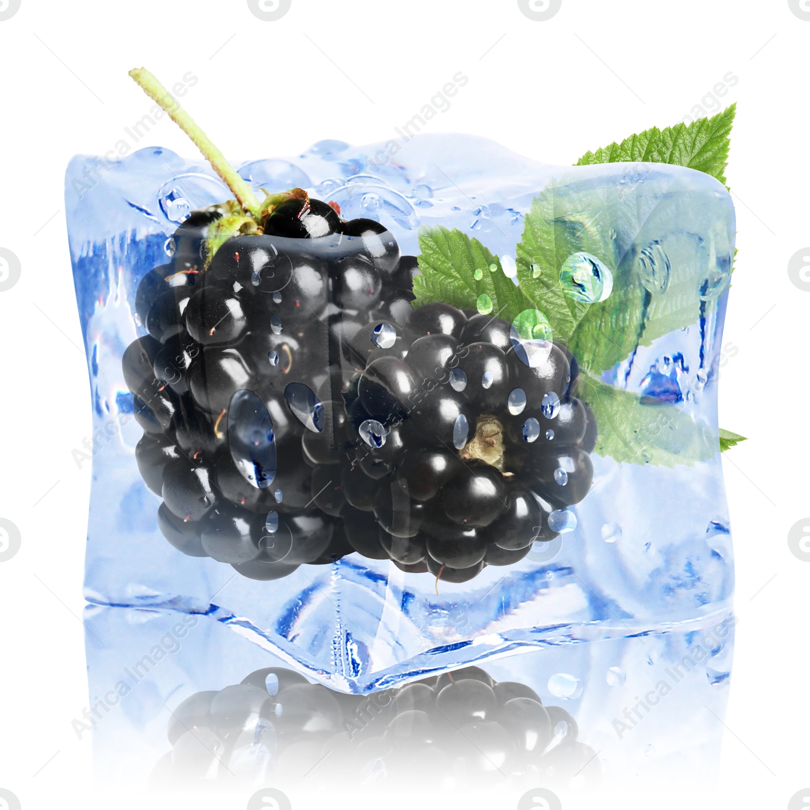 Image of Fresh blackberries in ice cube isolated on white