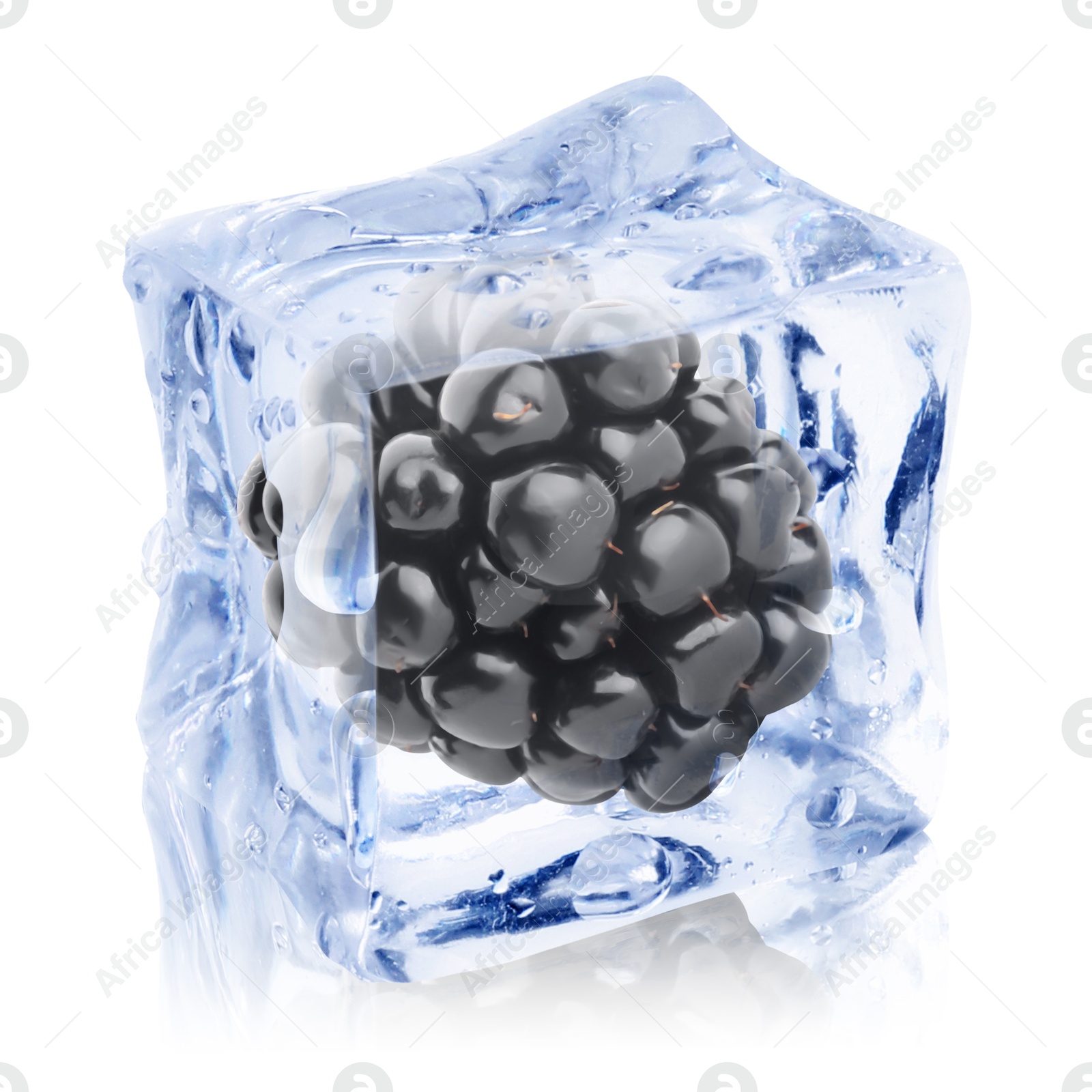 Image of Fresh blackberry in ice cube isolated on white