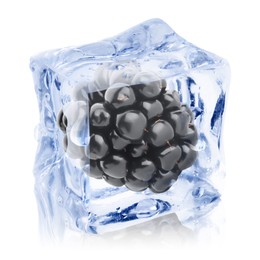 Image of Fresh blackberry in ice cube isolated on white