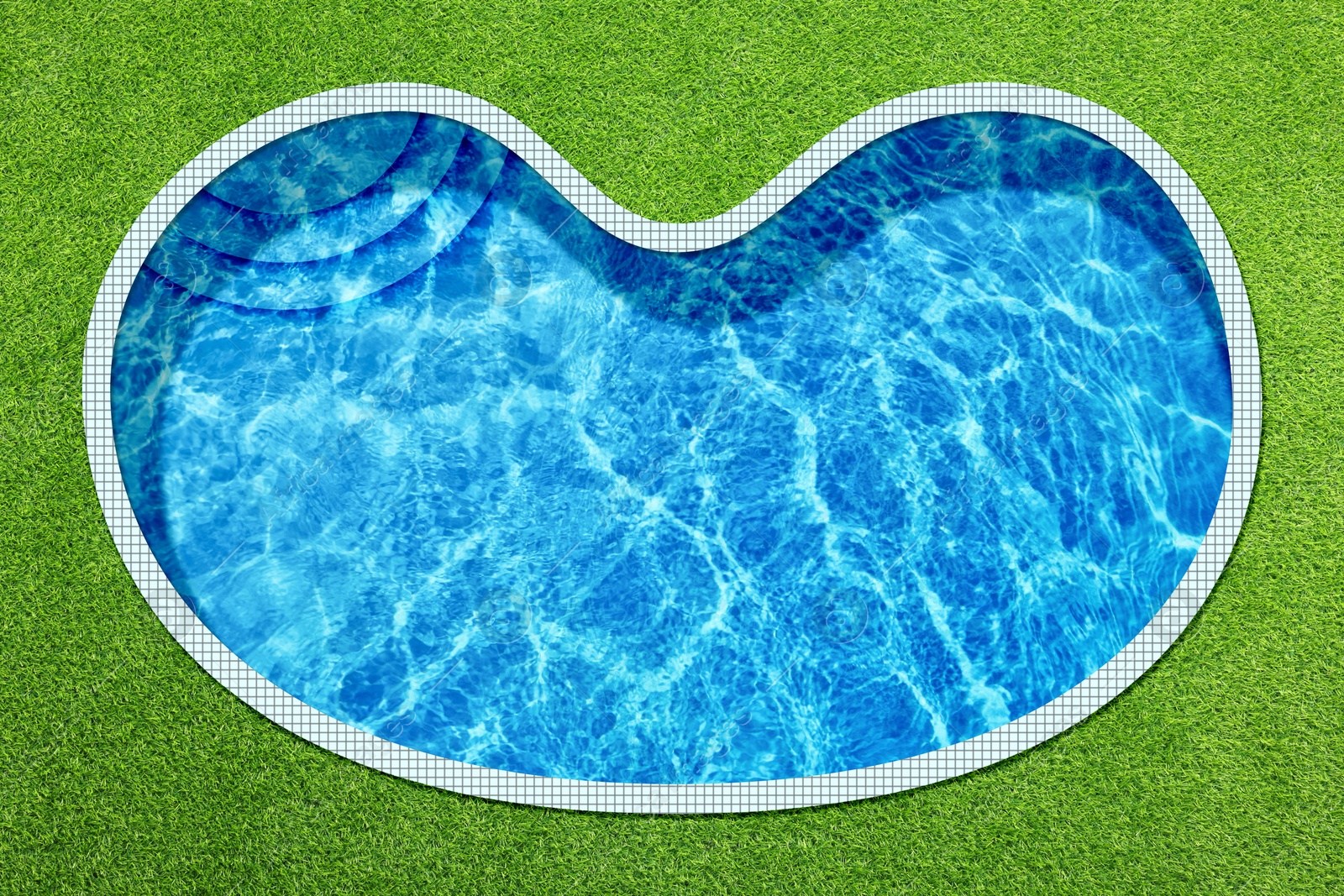 Swimming pool surrounded by green grass, top view Image of Swimming pool surrounded by green grass, top view